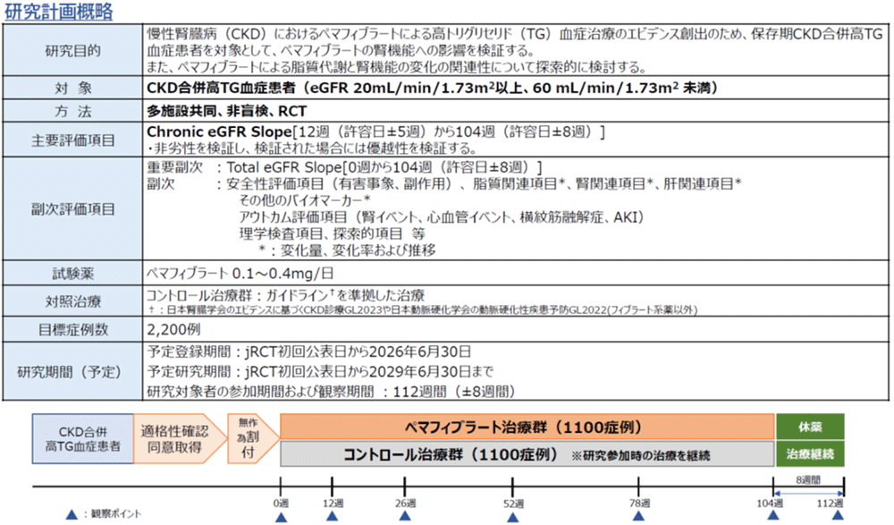 図2 JKAPI-CKD試験の研究計画概略